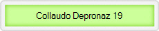 Collaudo Depronaz 19