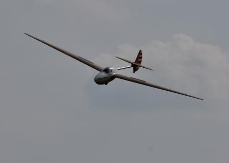 Super Albatross Annicco
